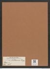 Navicula cluthensis Greg. (de-Toni-Nr.: Genus 1, Species 468) Zeichnungen Sammlung Grunow Mappe 00415 (Herbarium_W_Grunow_drawings_Folder_00415)